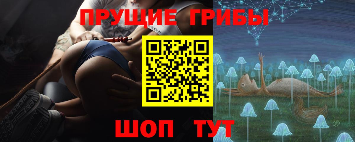 Галлюциногенные грибы Psilocybine cubensis Новоалтайск